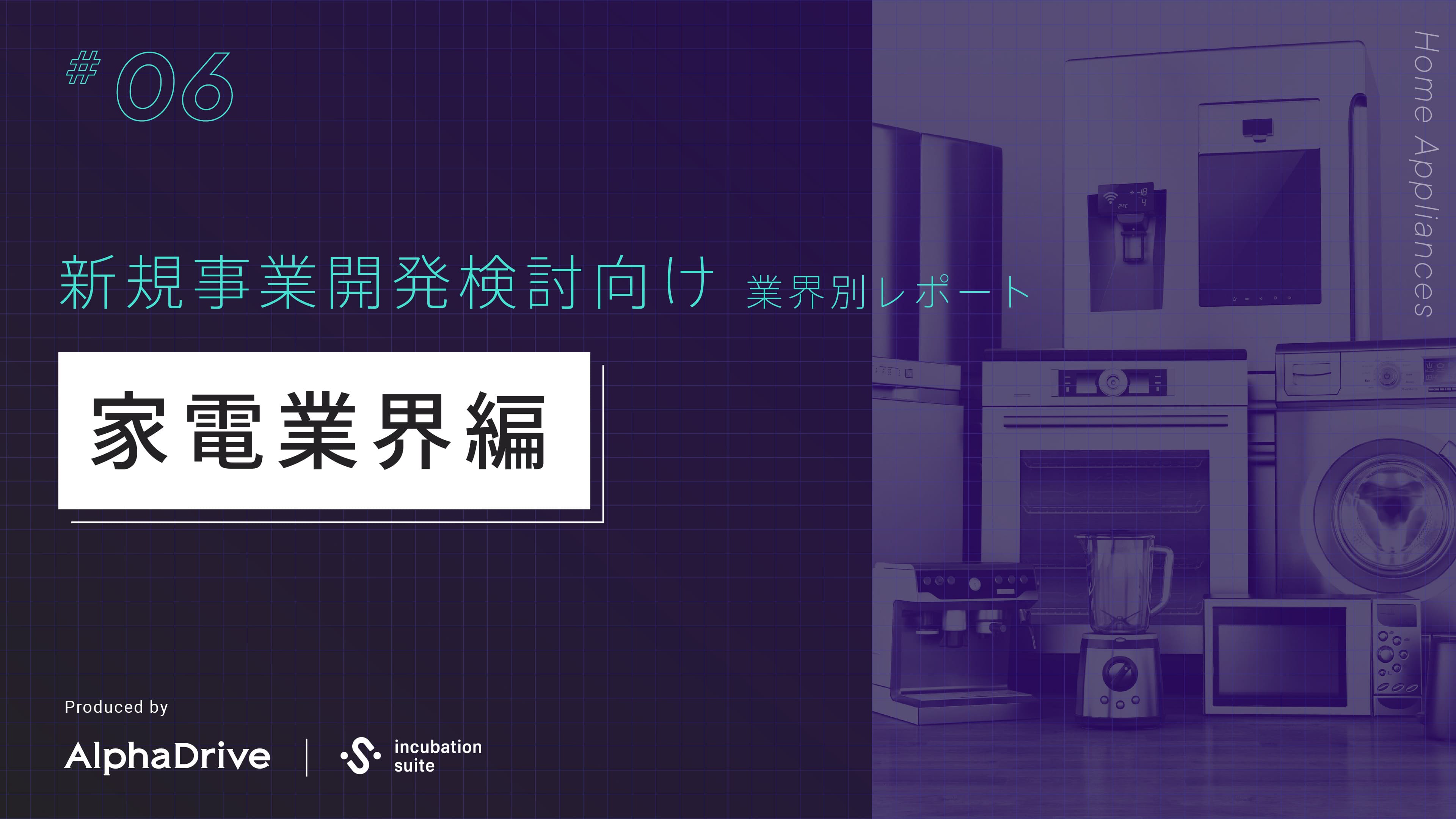 【新規事業開発検討向け】 業界別 構造課題レポート 〜家電業界編〜