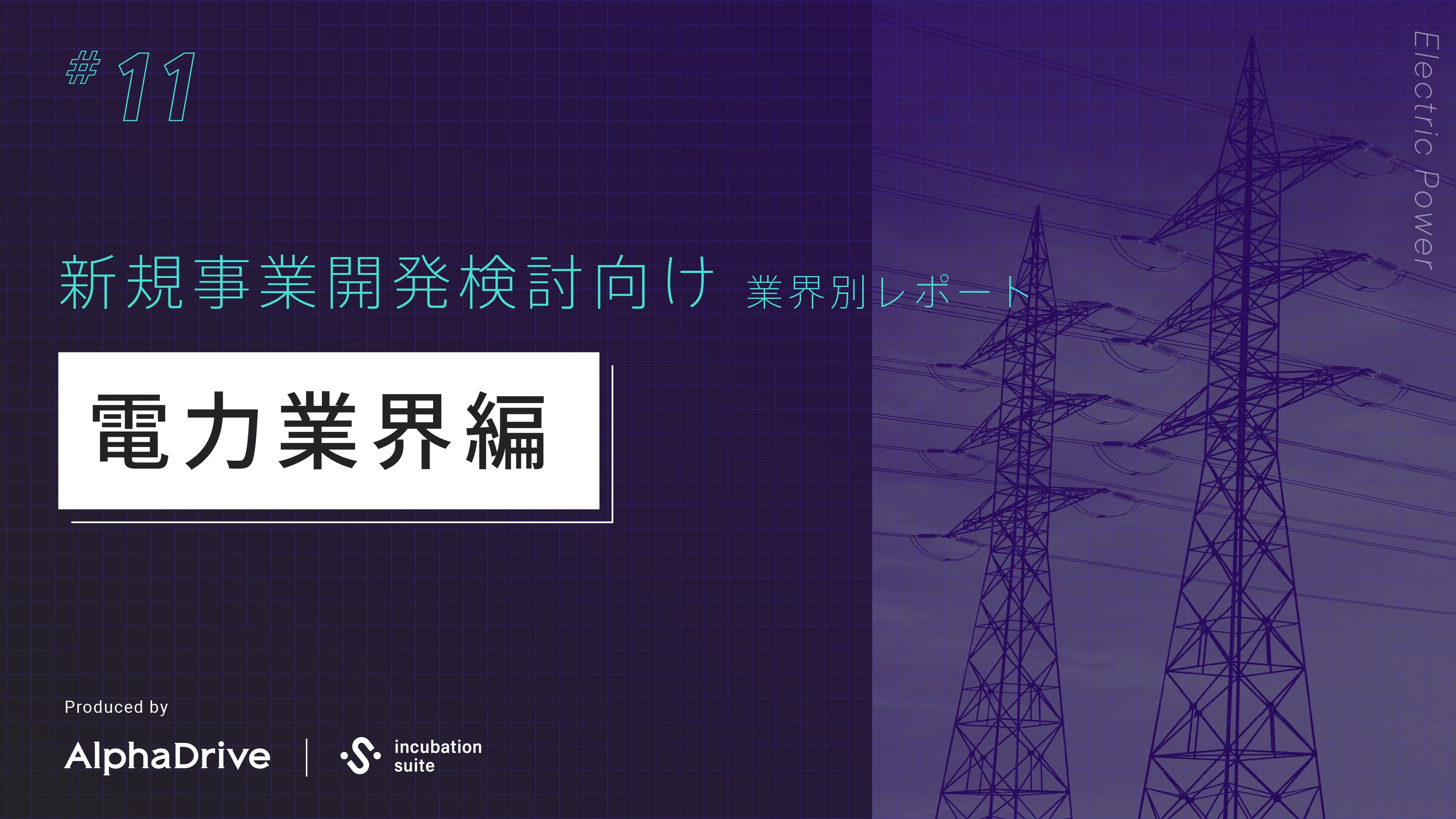 【新規事業開発検討向け】 業界別 構造課題レポート 〜電力業界編〜